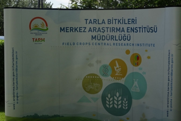 TMSD olarak Tarla Bitkileri Merkez Araştırma Enstitüsü Müdürlüğünün  Tarla Günü etkinlikleri davetine  katılım sağladık.
